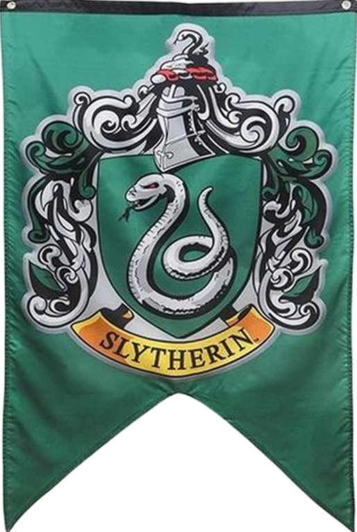 Bandeira da Sonserina